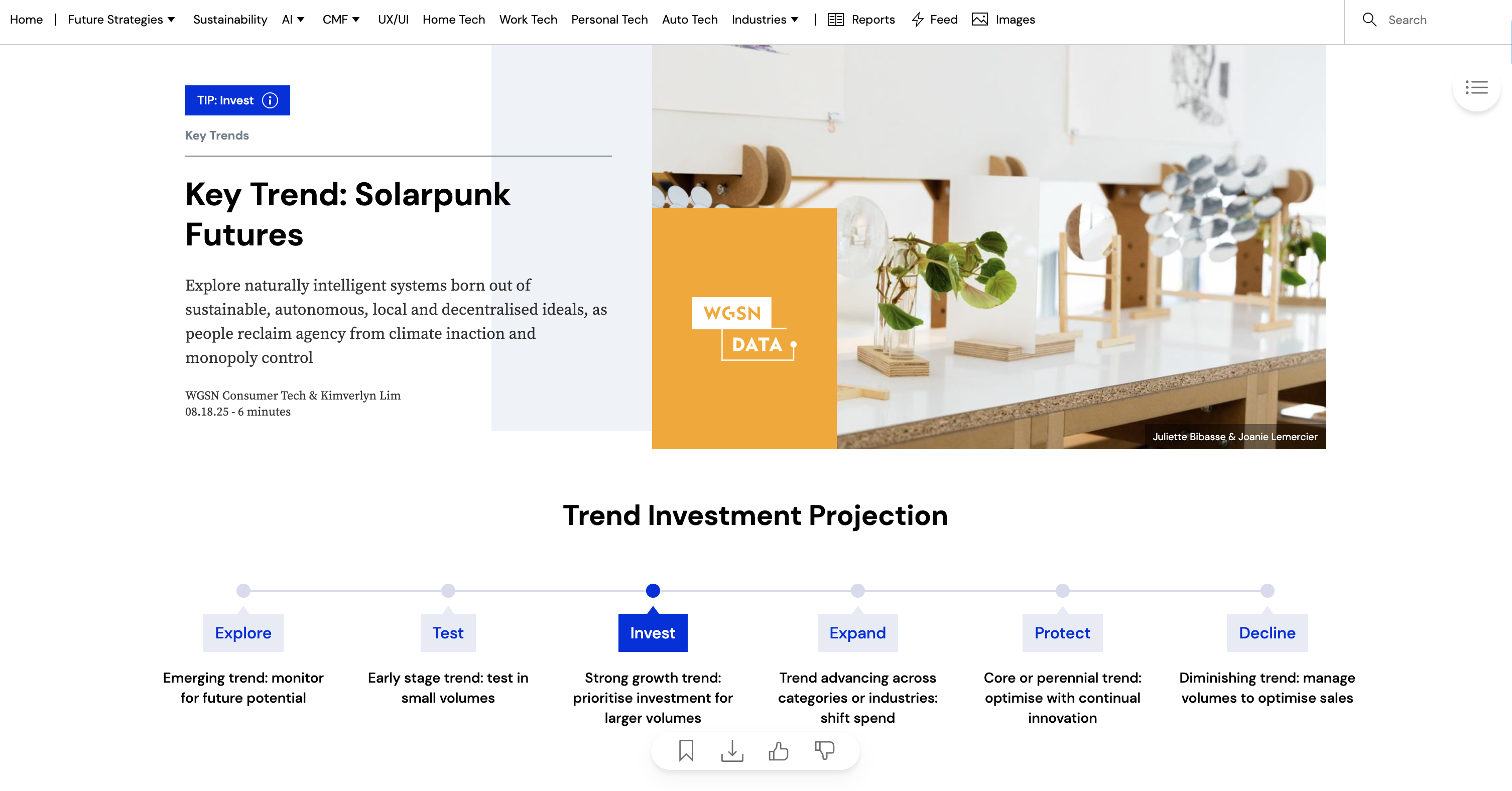 A key trend: Solarpunk explores sustainable, autonomous, and decentralized systems as people reclaim agency from climate inaction and monopoly control.